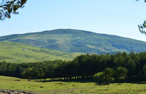 CASUCAS LA GUARIZA (Casa Eva ) - Foto 27
