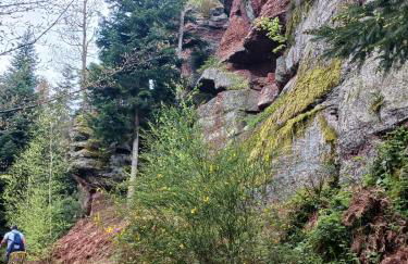 gîte La Belle Vue - Photo 15