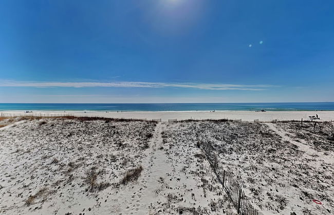 So Shell Distancing - Photo 23