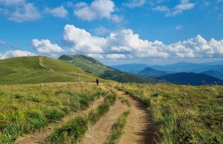 Domki Nad Bocianim Gniazdem - Foto 16