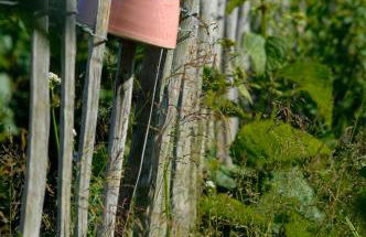 Ferienwohnungen im Fischerdorf und - Foto 16