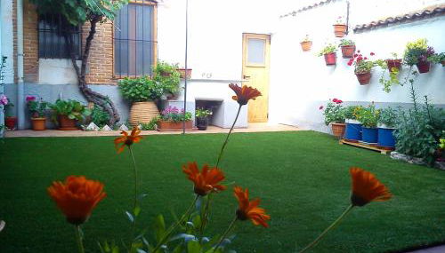 La Cantina de Daniel - Foto 2, Garden