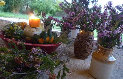 Hort de L'Aubert - Foto 45