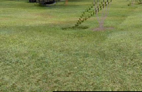 White Thorn Cottages - Foto 11