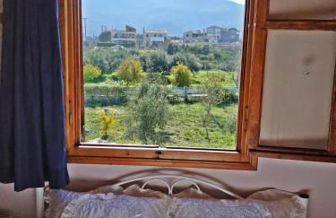 Goldy's Villa - Foto 20