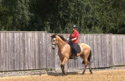 Luxury Old Stone Cottage, Beautifully Presented - Photo 25