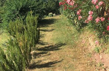 #2 Cinque Terre, Tuscany, Liguria, Lerici - Foto 43