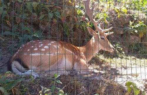 Casa Morgado - Foto 3