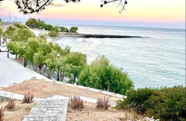 BAY DIVINO - Foto 39