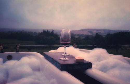 The Bw thyn - Ceredigion - Photo 15