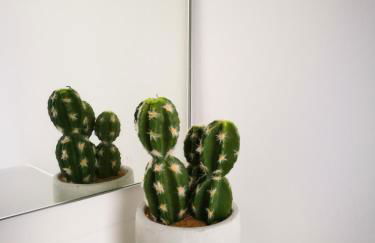 Furnas Springs - Foto 24