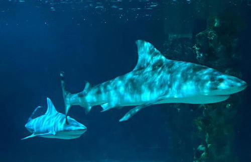 Thüringer Wald-Zauber - Foto 42