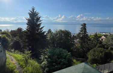 Berges du Léman-cœur de Thonon - Foto 31
