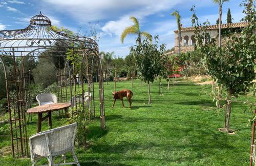 Alcazar Del Garraf - Photo 44