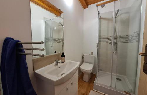 EkoTurystyka Natura Gwiazd - Green Velo - Workation Park - Ziołowy Klimat Bieszczad - Foto 36