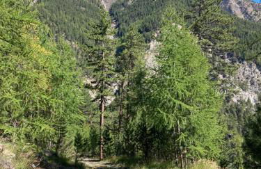 Les Mélèzes 1 Studio - Foto 19