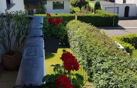 FewoSa Trier-Tarforst - Foto 65