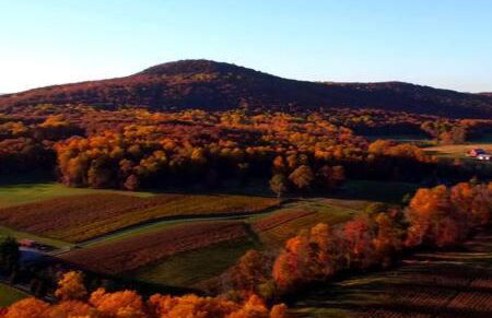 Studio apartment at Sugarloaf Log House - Photo 12