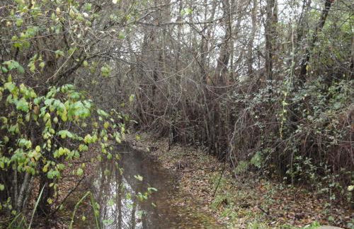 Casa Rural Sierra San Mamede - Foto 55