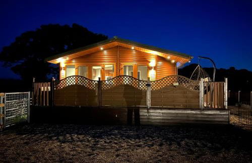 The Lodge - Photo 45