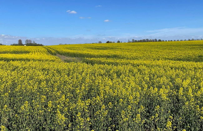 8 Person Holiday Home in Skivarp - Foto 13