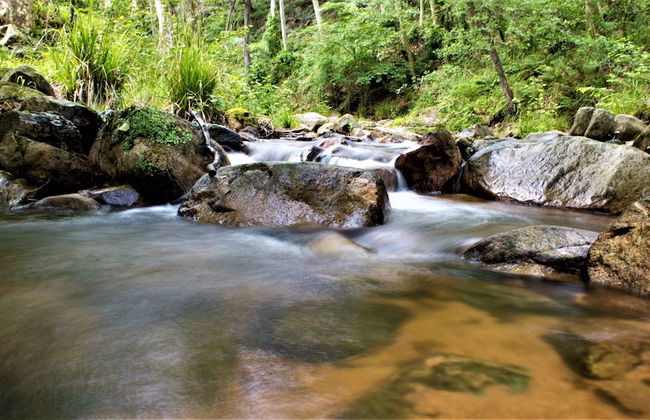 Mas Can Calet Aparthotel - Foto 39