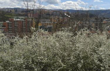 The Flowers' House - Photo 42