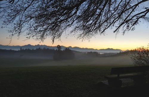 Mächlerhof - Foto 45