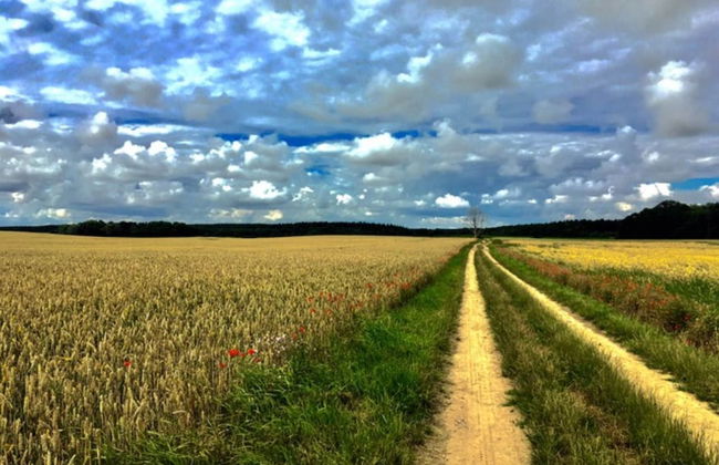 Wohnung in Neuburg Nahe Ostseestrand - Foto 32