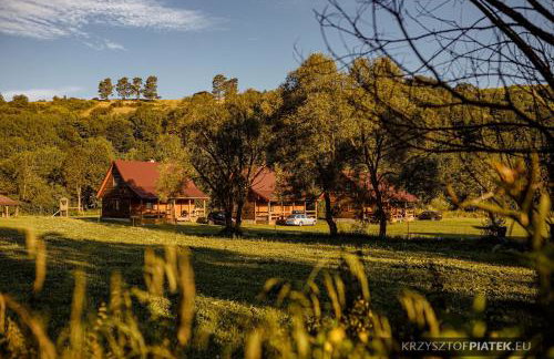Chatka nad Osławą - Foto 1
