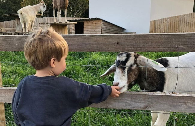 Hawthorn Cottage - Photo 33