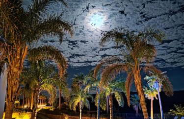 La Marabulla - Photo 10