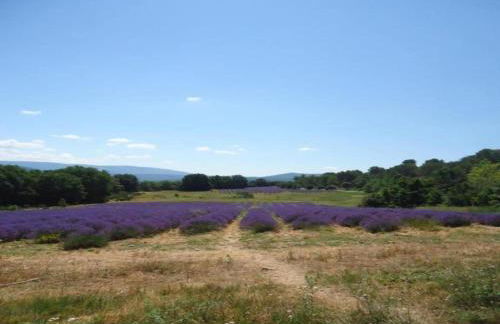 Villa in Hyères near Beach & Pool - Foto 40