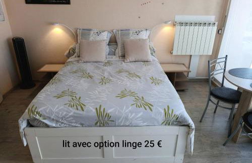 Locations Vacances Obernai Studio - Foto 42