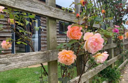 The Barn at White Rose Cottage - Photo 17