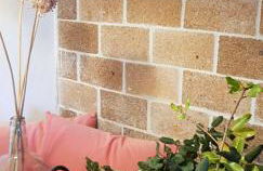 Finca Sa Cova de Mallorca - Foto 23