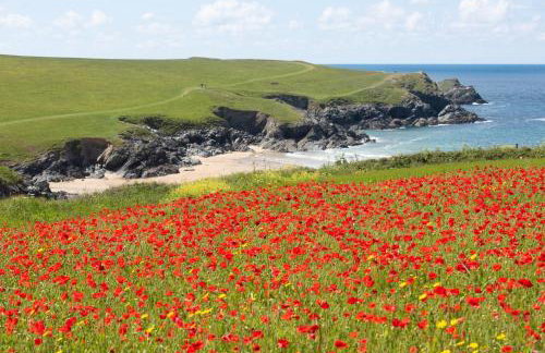 Wish You Were Here - Hot Tub - Free Parking & Free WiFi - Foto 26