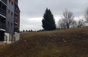 Studio rénové, calme avec Terrasse S-O, prestations de qualité - Résidence Les Adraits - Foto 22