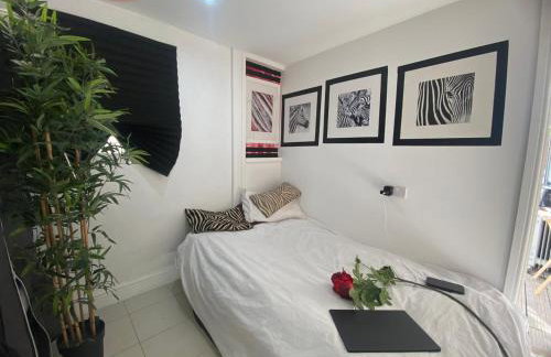 1 Bedroom studio - Photo 18