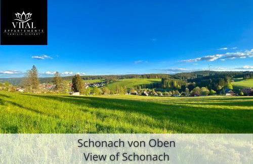 Appartement zur Birke - Foto 59