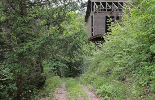LA BARCA NEL FRUTTETO Natura e relax in collina - Foto 53