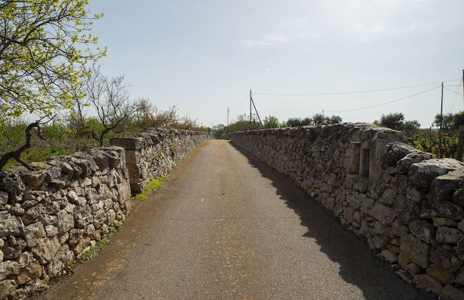 Trullo Pinto - Foto 62