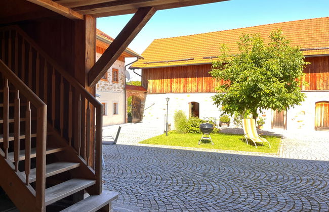 Lehner im Wald - Foto 20