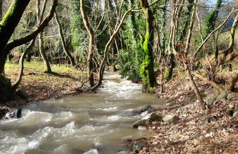 Chalet Coquelicot (Co-cli-co) relax in nature - Photo 36