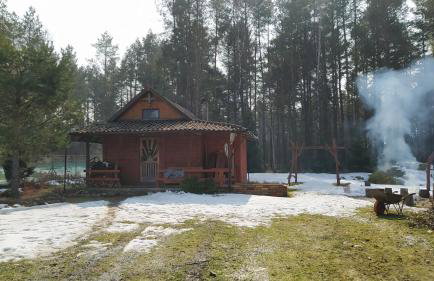 Podlaskie Żuczki - Foto 8