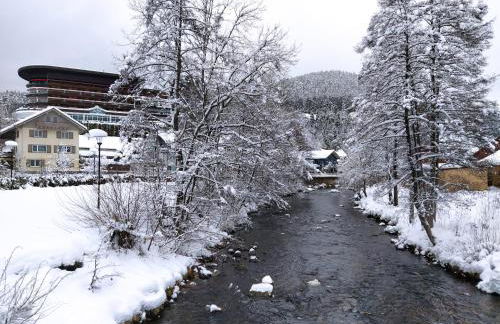 Ferienwohnung, Sauna & Gästekarte gratis im Schwarzwald - Photo 37