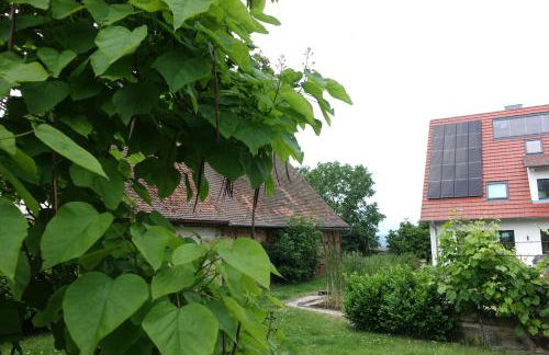 Panorama-Domizil Tauchershof - Foto 26