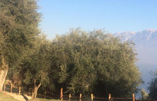 Cascina Varini - Foto 66