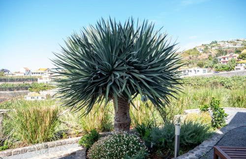 Ocean's 13 - Foto 35