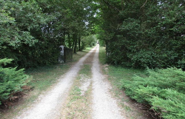 Charming Holiday Home in Gargas With Swimming Pool - Photo 38